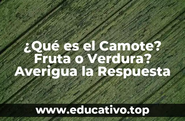 Orígenes y Características del Camote