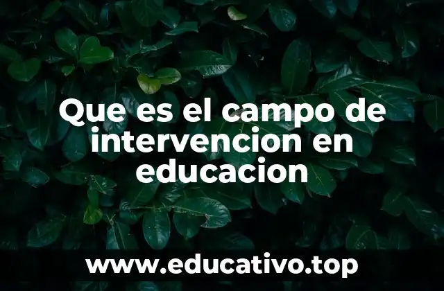 Que es el campo de intervencion en educacion