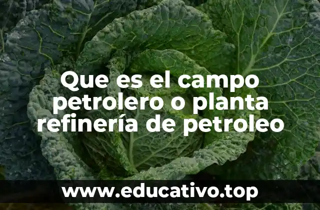 Que es el campo petrolero o planta refinería de petroleo