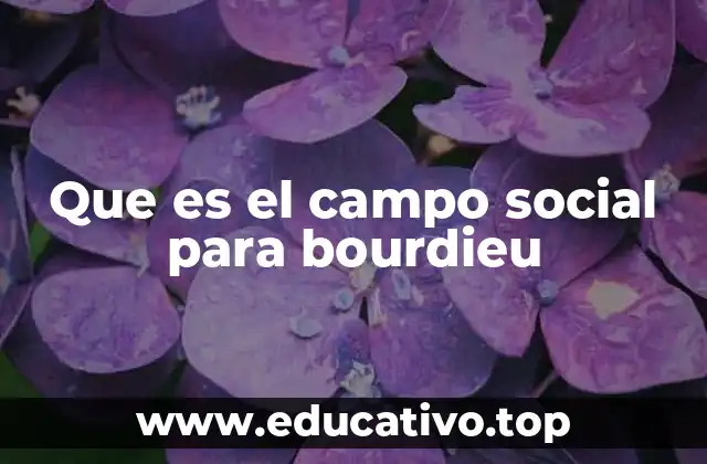 El campo social como lucha de posiciones