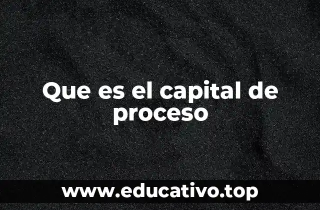 Que es el capital de proceso