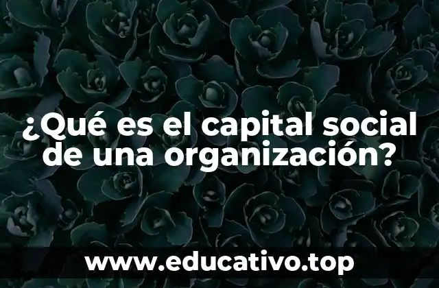 Cómo las relaciones humanas impulsan el crecimiento empresarial