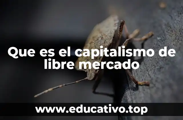 Que es el capitalismo de libre mercado