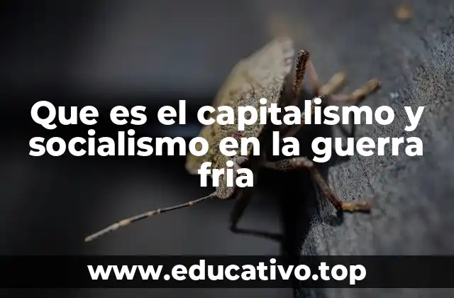 La confrontación ideológica y su impacto en la geopolítica mundial