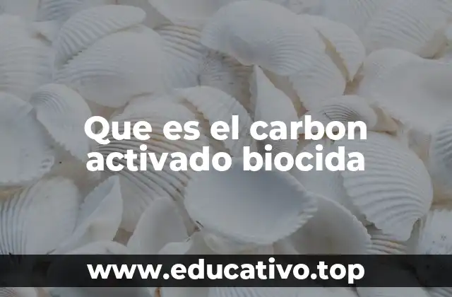 Diferencias entre carbón activado y carbono activado biocida