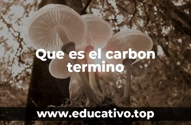 Que es el carbon termino