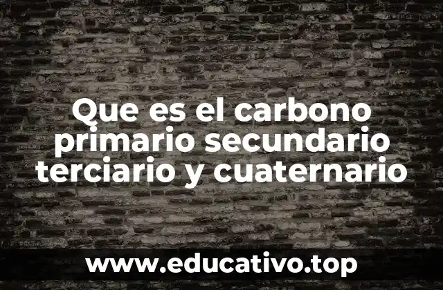 Que es el carbono primario secundario terciario y cuaternario