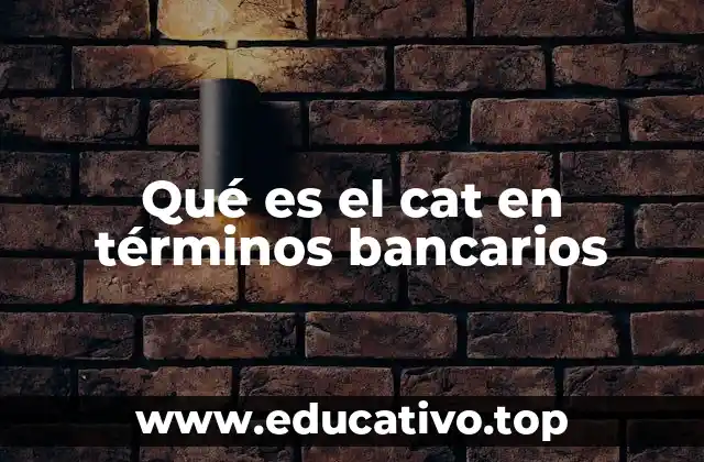 Qué es el cat en términos bancarios