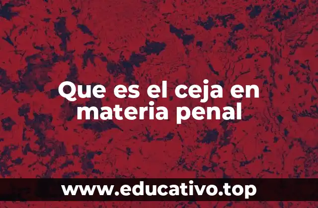 Que es el ceja en materia penal