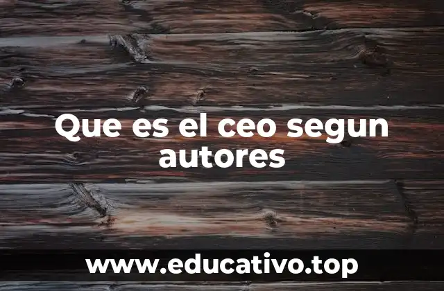Que es el ceo segun autores