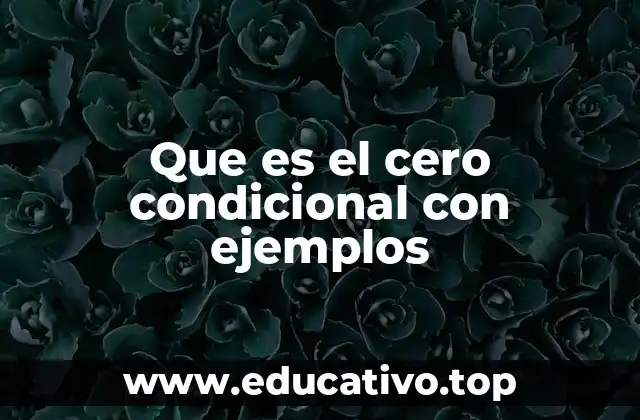 Que es el cero condicional con ejemplos