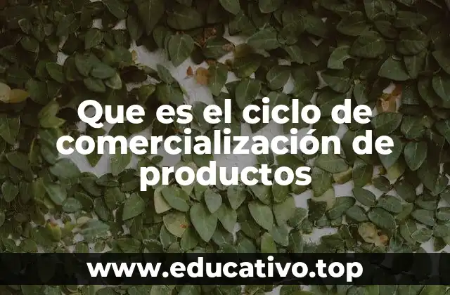 Que es el ciclo de comercialización de productos