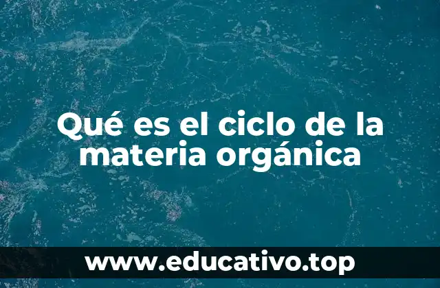Qué es el ciclo de la materia orgánica