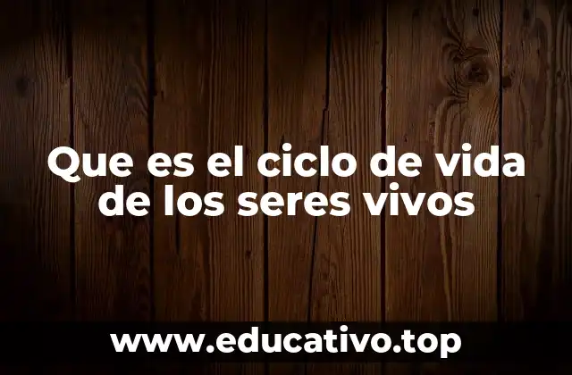 El viaje de la existencia: desde el origen hasta el final