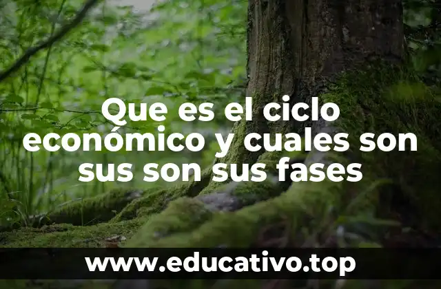 Que es el ciclo económico y cuales son sus son sus fases