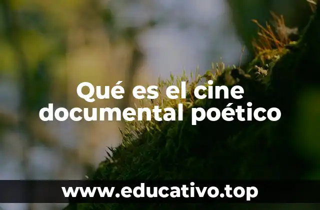 El cine poético como puente entre arte y realidad