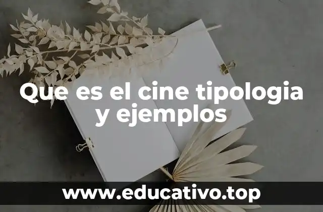 Que es el cine tipologia y ejemplos