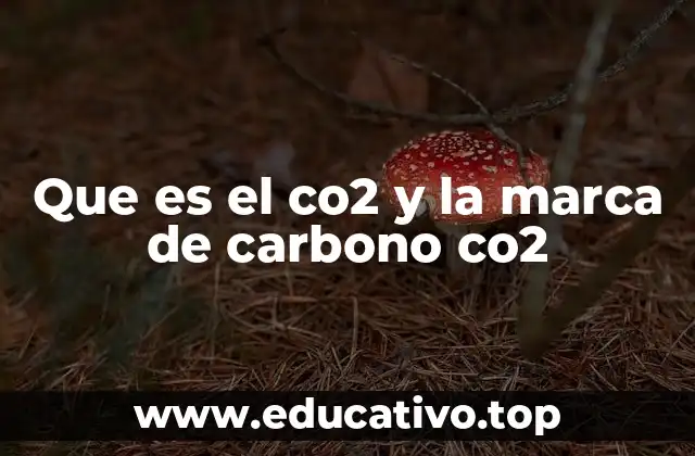 Que es el co2 y la marca de carbono co2