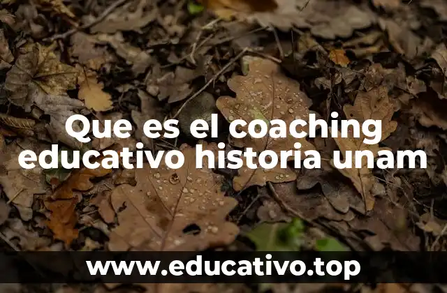 Que es el coaching educativo historia unam
