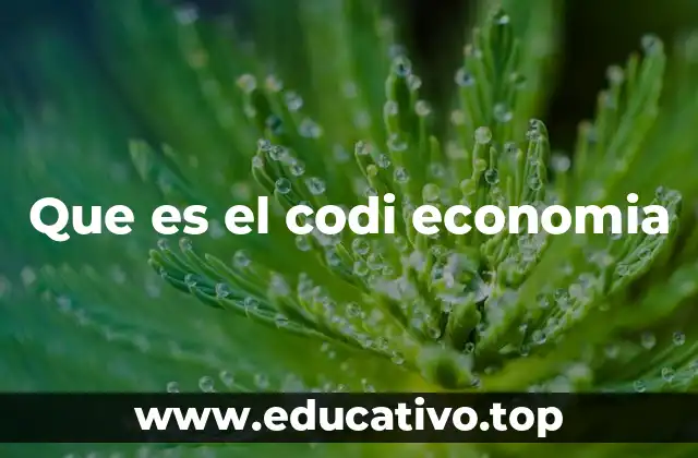 Que es el codi economia