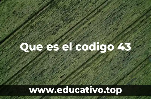 Que es el codigo 43