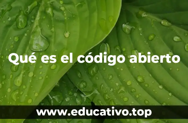 Orígenes y evolución del movimiento del código abierto