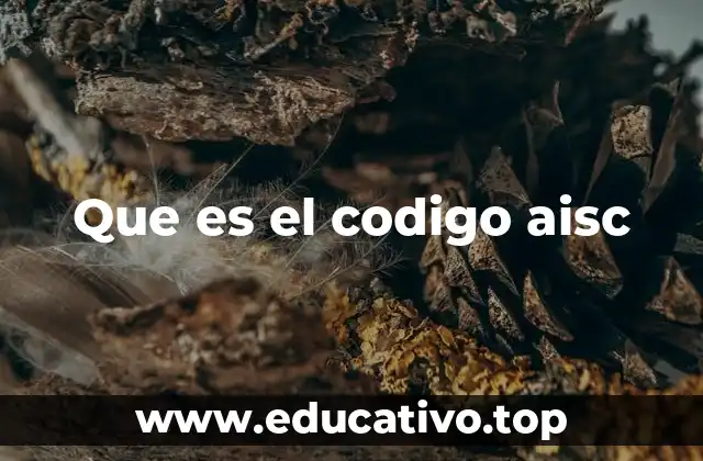 Que es el codigo aisc