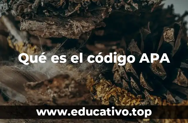 Qué es el código APA