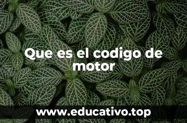 Información que proporciona el código de motor