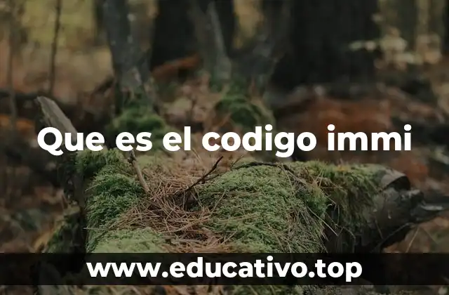 Que es el codigo immi