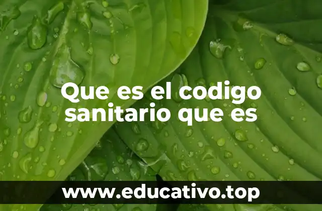 Que es el codigo sanitario que es