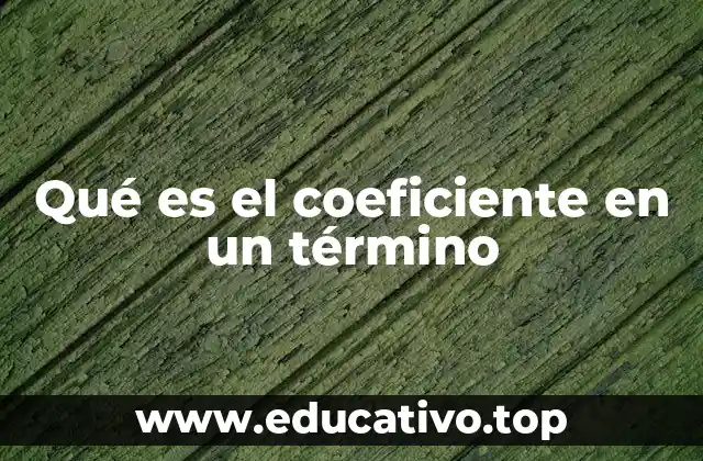 Qué es el coeficiente en un término