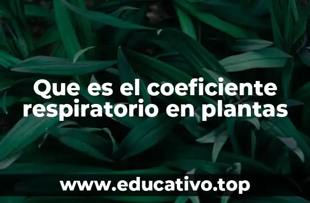 Que es el coeficiente respiratorio en plantas