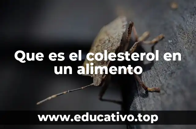 Que es el colesterol en un alimento