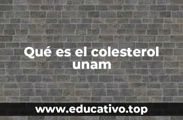 Qué es el colesterol unam