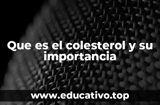 Que es el colesterol y su importancia