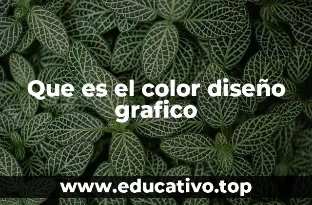El rol del color en la percepción visual