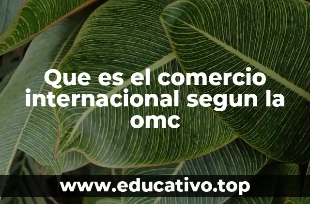 Que es el comercio internacional segun la omc