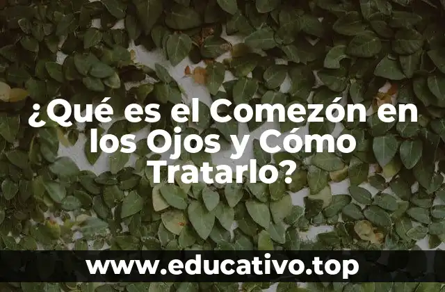 ¿Qué es el Comezón en los Ojos y Cómo Tratarlo?