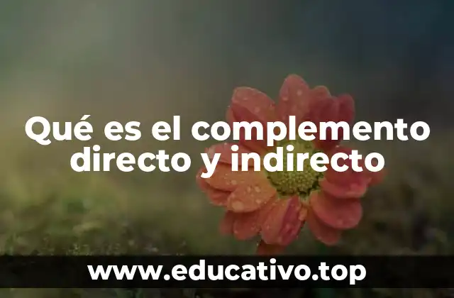 La importancia de los complementos en la construcción de oraciones