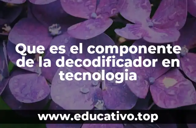 Que es el componente de la decodificador en tecnologia
