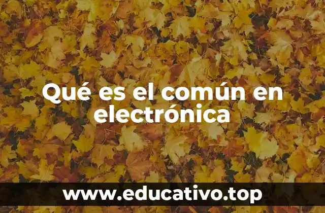 Qué es el común en electrónica