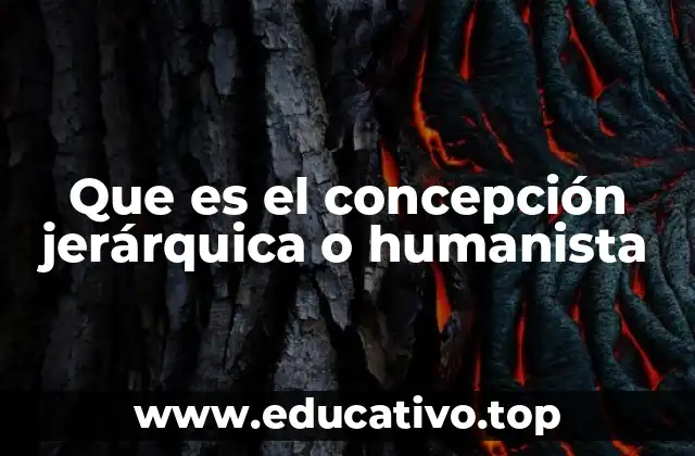 Que es el concepción jerárquica o humanista