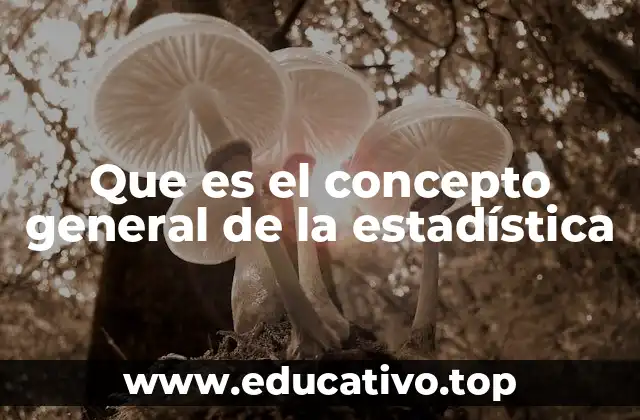 La importancia de entender el concepto general de la estadística