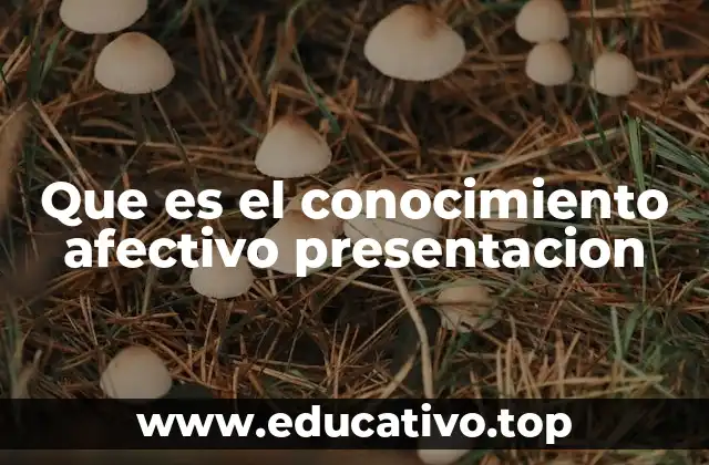 La importancia del conocimiento afectivo en la educación