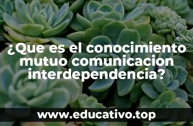 ¿Que es el conocimiento mutuo comunicacion interdependencia?