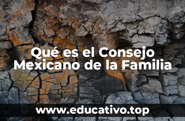 Qué es el Consejo Mexicano de la Familia