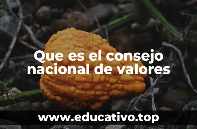 Que es el consejo nacional de valores