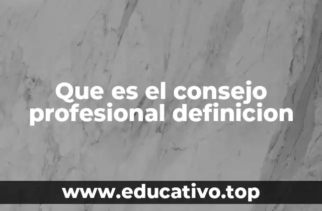 Que es el consejo profesional definicion
