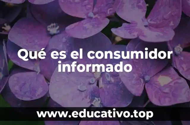 Qué es el consumidor informado
